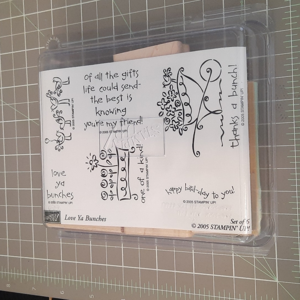 New Love Ya Bunches Stampin Up set of 6 2005